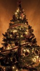  arrivato natale