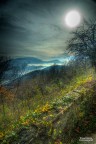 Terre_4