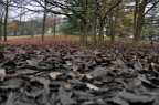 _DSC0359