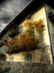 sogno d'autunno