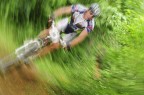 MTB Into The Wood