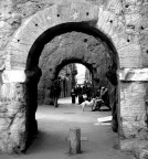vita tra gli archi