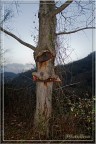 Forza Naturale - Quando la natura si ribella!