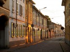 alba dorata