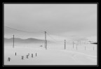 Nel bianco