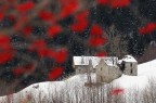 Neve bianca o neve rossa?