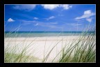 Utah Beach, Normandia, spiaggia americana dello sbarco

Camera: Canon EOS 20D
Lens: EF-S 18-55 II f/3.5-5.6
Time: 2005.08.12 13.50
Focal Lenght: 18mm
Exposure time 0.0063s (1/160)
Exposure: f/4
ISO: 100
Exposure: Manual
Film: Digital RAW