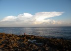 Pesca
