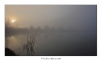 Riflessi nella nebbia.
