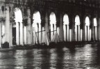 Olympus OM-2  con Zuiko 135 mm e pellicola per b/n Ilford FP4 Plus 125 asa con cavalletto