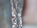diciamo che  un test del mio tamron 90mm f2.8 macro
