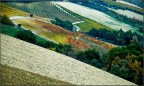 colline