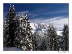 Paesaggio alpino