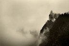 Through the mist