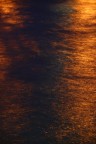 Riflessi