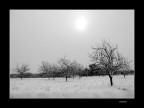 ...DOPO LA NEVICATA...