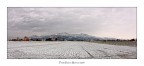 Finalmente  arrivata anche da noi la Neve!!!