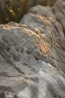 stone