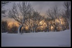 ... nevicato!!!
