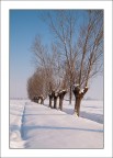 Immerso Nella Neve