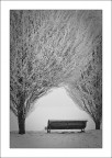 Fin dentro l'inverno