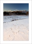 Sognando l'Inverno