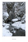 Dopo la nevicata.



Auguri di Serene Festivit a tutti gli Utenti.