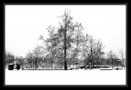 Neve in citt