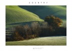Country