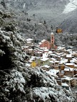 Cartolina