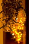 roccambolesca foto eseguita con un cavallettino portatile in bilico su una costruzione di barattoli e scatole sulla composizione che ho preparato per un pranzo di vischio e palline rubate dall'albero (visibile sullo sfondo).... luci naturali, 2.5 secondi di esposizione...

come al solito ogni commento  gradito !