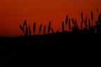 un altro tramonto :)