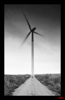 Wind power