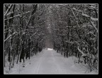 nevicata