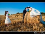 Wedding #11