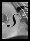 Maestro liutaio