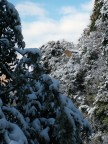 Come torno a casa?