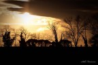 Canon 40d
Sigma 120-400 os
120mm
f4,5
1/8000
iso 200