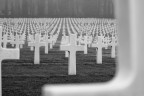 in memory of...