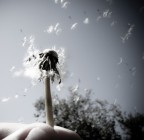 Blown away