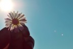 controluce
