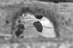 Riflessione