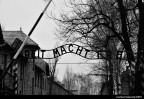 Auschwitz