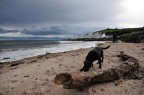 Cushendun