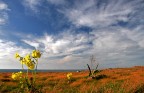 winter colors(2)...