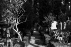 R.I.P.  un progetto iniziato da poco e che percorre i Cimiteri Italiani per raccontare con un punto di vista personale questi luoghi.
Il lavoro  realizzato completamente in analogico.

LEICA R5
Elmarit-R 50 mm. f/2
Pellicola Kodak T-Max 400
Scansione con HP Scanjet G4050
