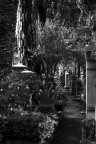 R.I.P.  un progetto iniziato da poco e che percorre i Cimiteri Italiani per raccontare con un punto di vista personale questi luoghi.
Il lavoro  realizzato completamente in analogico.

LEICA R5
Elmarit-R 50 mm. f/2
Pellicola Kodak T-Max 400
Scansione con HP Scanjet G4050