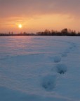 Verso il tramonto