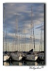 Porto di Varazze