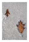 -10